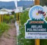Syngenta transforma el campo mexicano con innovación regenerativa