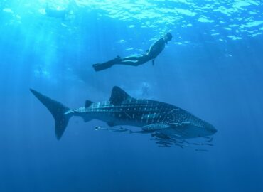 Los Cabos se posiciona como el paraíso del turismo deportivo en México