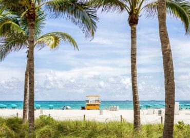 PayPal Pay Later: la fórmula que aumenta ventas de turismo internacional