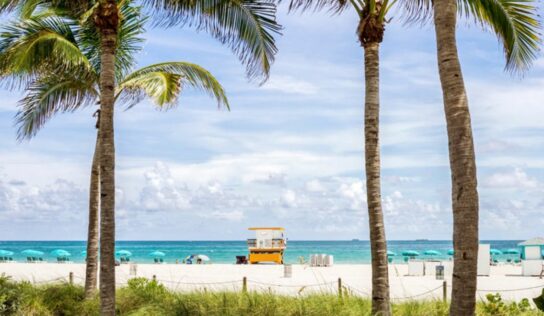 PayPal Pay Later: la fórmula que aumenta ventas de turismo internacional