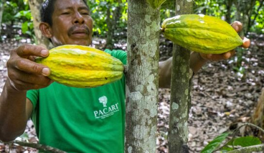 Ecuador se consolida como el destino ideal para los amantes del cacao