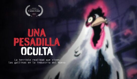 Mercy For Animals trae a México el corto Una Pesadilla Oculta para promover el futuro libre de jaulas en la industria del huevo