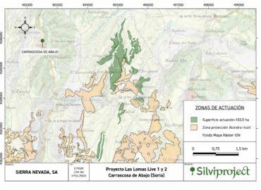Así será el nuevo bosque de 119 hectáreas en Carrascosa de Abajo (Soria) diseñado con soluciones basadas en la naturaleza
