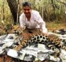 El jaguar mexicano: un símbolo de éxito en conservación del Dr. Gerardo Ceballos