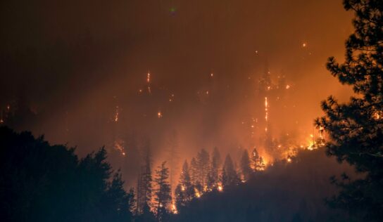 Allianz intensifica su protocolo especial ante los incendios que están asolando parte del país