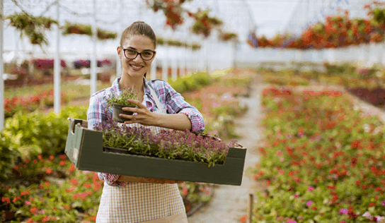 Formación Universitaria presenta su curso online preparatorio para el Título Oficial de Técnico Superior en Paisajismo y Medio Rural