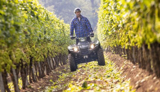 Vendimiar en un Quad Yamaha ya es posible