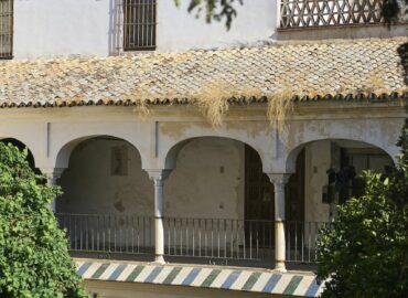 THE YOGA GALLERY FEST celebrará en Sevilla su primera edición en otoño