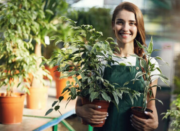 10 razones por las que comprar tus plantas en un vivero es la mejor opción