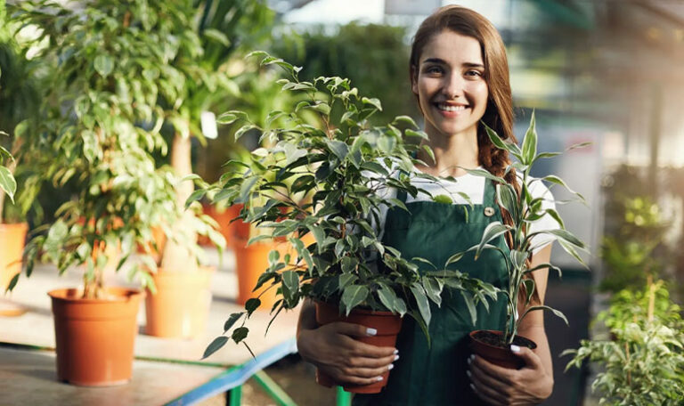 10 razones por las que comprar tus plantas en un vivero es la mejor opción