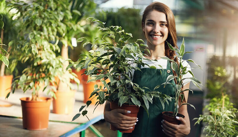 10 razones por las que comprar tus plantas en un vivero es la mejor opción