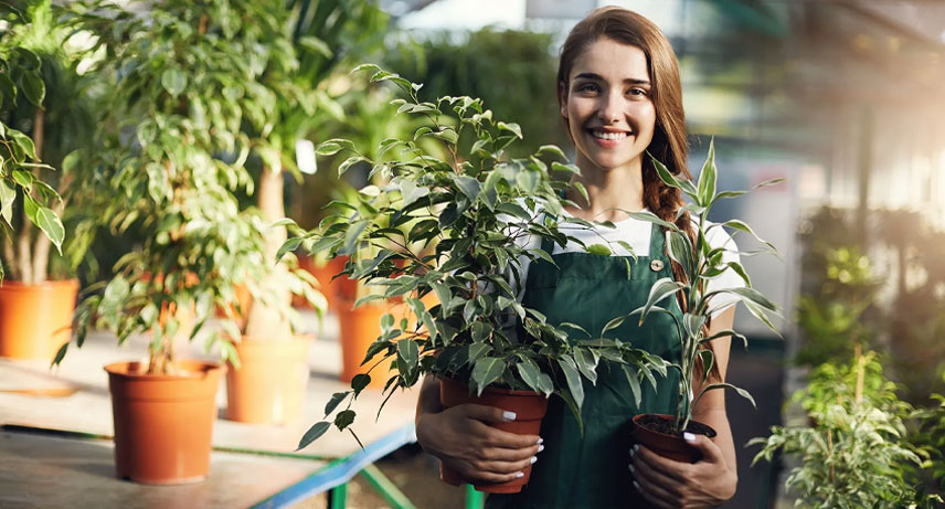 10 razones por las que comprar tus plantas en un vivero es la mejor opción