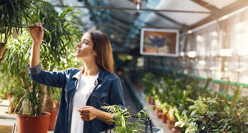 7. Precios justos y adaptados a la calidad