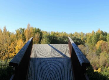 Siete cocineros, una corona y mil años de historia en los fogones de Almazán