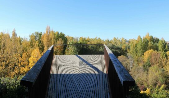 Siete cocineros, una corona y mil años de historia en los fogones de Almazán