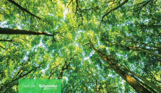 El centro de distribución de Schneider Electric en Évreux ha sido reconocido como Sustainability Lighthouse por el Foro Económico Mundial