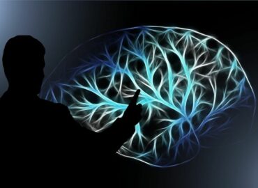 UDIT demuestra con evidencia neurocientífica que hablar más de un idioma modifica el cerebro