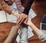 Longevity World Forum convoca una competición de startups sobre envejecimiento saludable