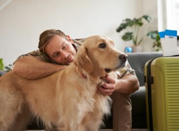 El Presidente InterContinental Puebla se sitúa como una opción pet friendly para los viajeros con mascota