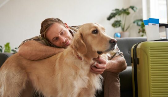 El Presidente InterContinental Puebla se sitúa como una opción pet friendly para los viajeros con mascota