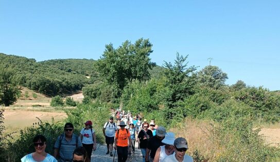Más de un centenar de personas participaron en las II Jornadas sobre la Guerra Civil organizadas por la Sociedad de Amigos de Cogolludo