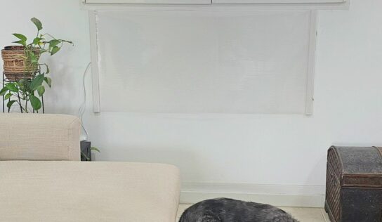 Lanzan un radiador ‘made in Murcia’ que ahorra un 70% en electricidad