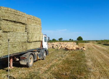 BioPalacín Planet se consolida en el mercado gracias al aumento del valor que el consumidor otorga a los alimentos km 0