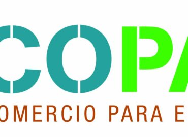 Más del 56% de España es bosque, pero su madera sigue desaprovechada