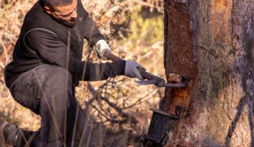 COPADE concluye el proyecto Del Bosque a tu Casa con resultados visibles en nueve territorios rurales