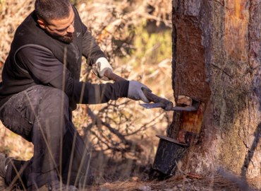 COPADE concluye el proyecto Del Bosque a tu Casa con resultados visibles en nueve territorios rurales