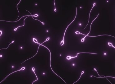 Dra. Miren Mandiola, directora del Laboratorio de Reproducción Asistida del Hospital de Día Quirónsalud Donostia: «Los donantes de semen tienen muchos más estudios realizados que cualquier pareja en un embarazo natural»