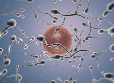 Dra. Miren Mandiola, directora del Laboratorio de Reproducción Asistida del Hospital de Día Quirónsalud Donostia: «Preservar la fertilidad permite a la mujer conciliar maternidad y proyectos personales»