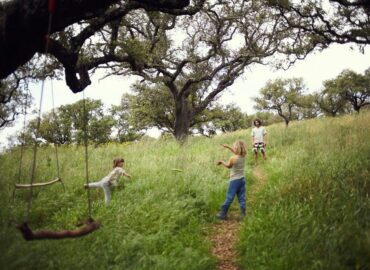 Traditional Dream Factory supera los 1,2 millones de euros y lidera la economía regenerativa en Europa