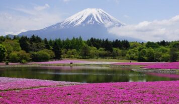 Despegar comparte destinos de montaña, una de las tendencias de viaje para 2026