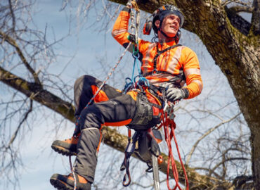 Poda de árboles en altura: técnicas, criterios y seguridad para un mantenimiento eficiente