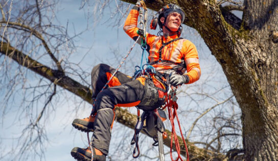 Poda de árboles en altura: técnicas, criterios y seguridad para un mantenimiento eficiente