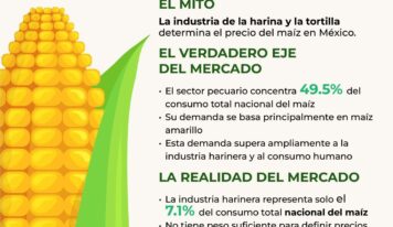El sector pecuario concentra 49.5 % del consumo de maíz en México: GCMA