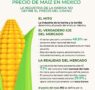 El sector pecuario concentra 49.5 % del consumo de maíz en México: GCMA