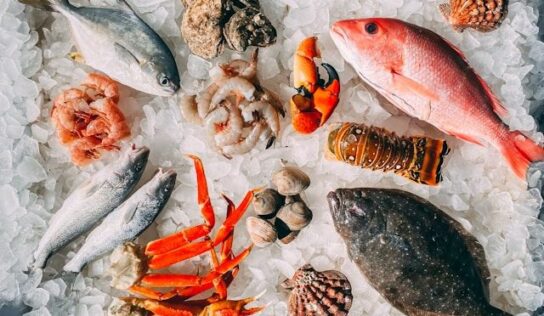 Brisas del Estrecho, empresa referente de marisco al por mayor y conservas premium en Sevilla