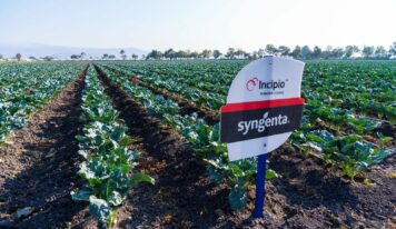 Syngenta acerca innovación y tecnología al campo mexicano con el lanzamiento de Incipio®