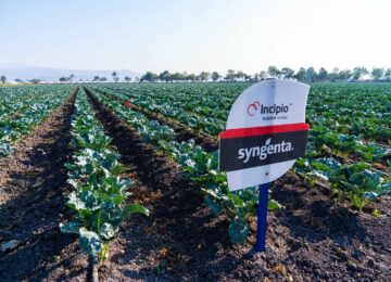 Syngenta acerca innovación y tecnología al campo mexicano con el lanzamiento de Incipio®