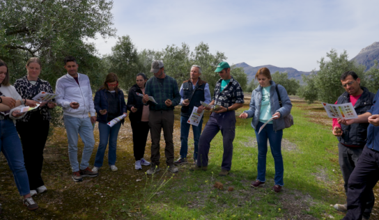 La Fundación PepsiCo lanza la segunda edición de VivaOliva para contribuir a la transformación del olivar de Jaén con agricultura regenerativa