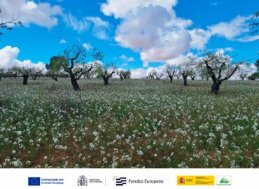Nace el proyecto ESIL para impulsar la bioeconomía y los servicios ecosistémicos en Castilla-La Mancha