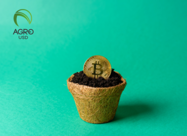 AGROUSD se consolida como opción estable para operaciones digitales en el ecosistema agro