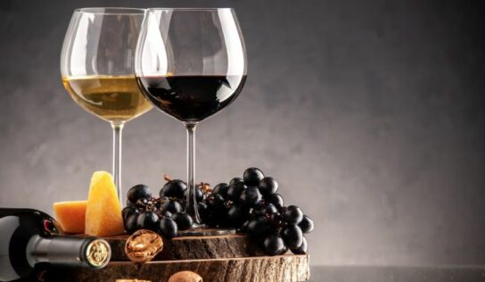 La Cave Gillet refuerza su catálogo de vinos con una propuesta pensada para distintos paladares