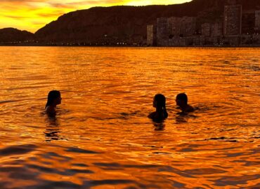 Delfinautica impulsa en Alicante una escuela náutica de formación real, seguridad y experiencias en el mar