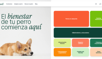 Hundwell: la plataforma de bienestar canino que busca acabar con el abandono de perros en España