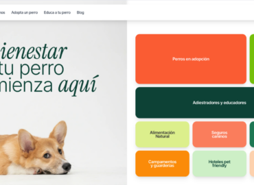 Hundwell: la plataforma de bienestar canino que busca acabar con el abandono de perros en España