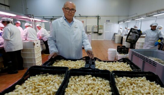 La Abuela Carmen valora positivamente una de las mejores campañas de ajo de los últimos años