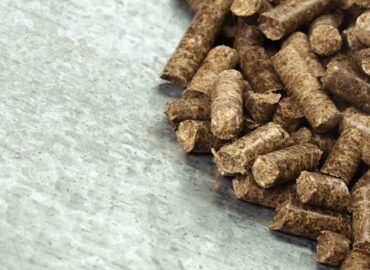 Bifeedoo destaca la importancia del pienso ecológico para optimizar la alimentación animal durante el verano